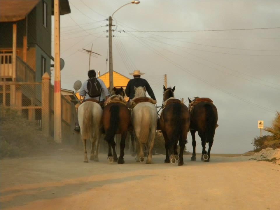 Cáhuil Cabanas Don Dago المظهر الخارجي الصورة