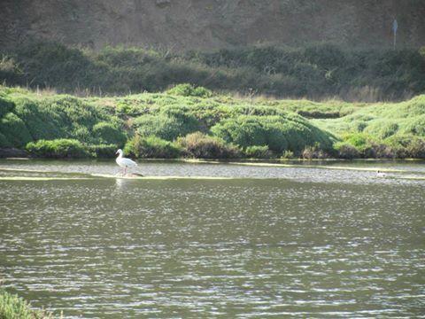 Cáhuil Cabanas Don Dago المظهر الخارجي الصورة